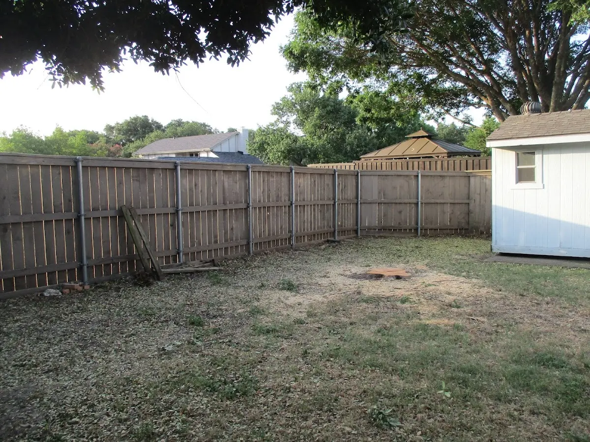 Cleared yard after professional tree removal in Colchester